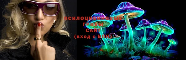 эйфоретик Алексин
